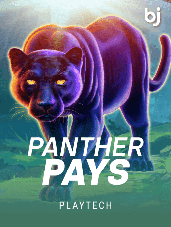প্যানথার পেজ game thumbnail
